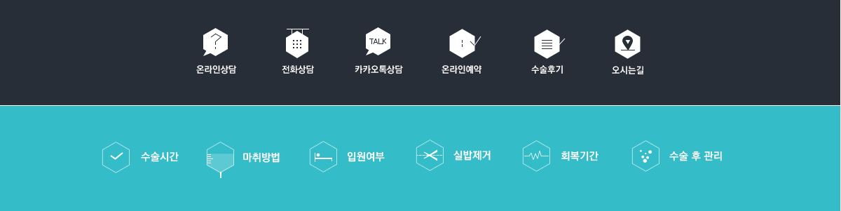 티엘성형외과 병원사이트