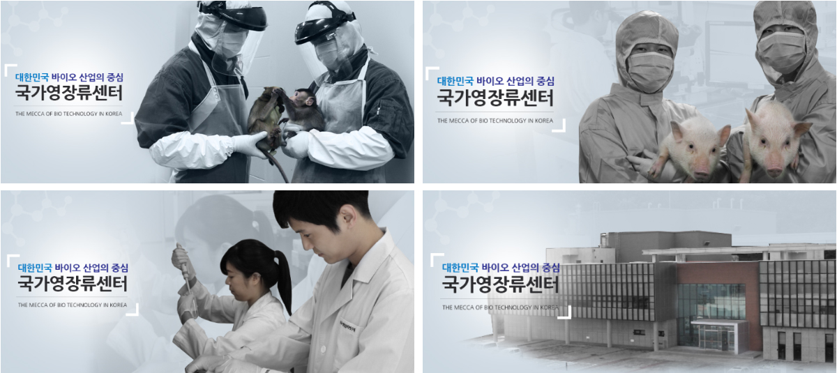 view_01.jpg 국가영장류센터 브랜드 아이덴티티 디자인 가이드라인