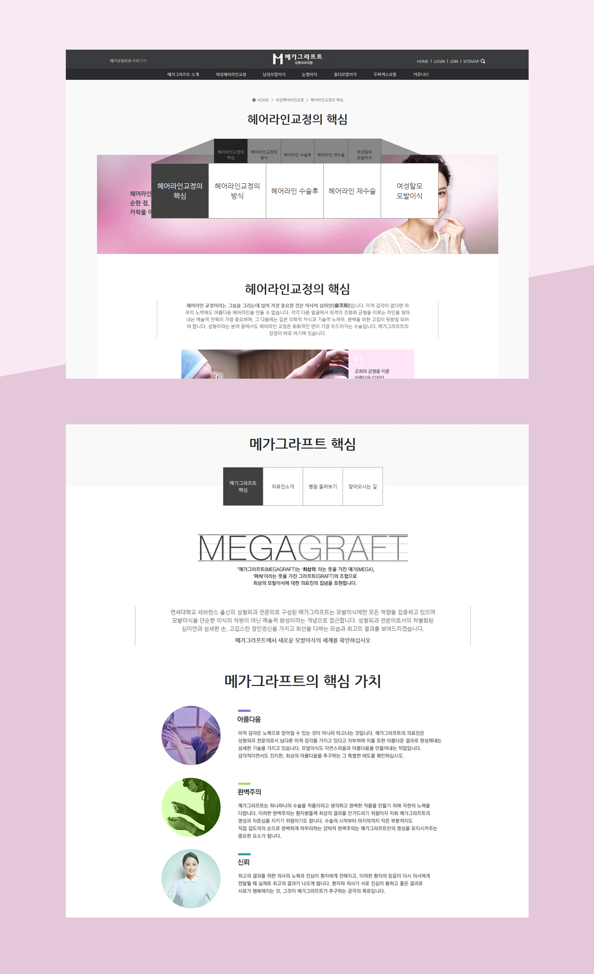 veiw_메가그라프트_04.jpg 메가그라프트 홈페이지