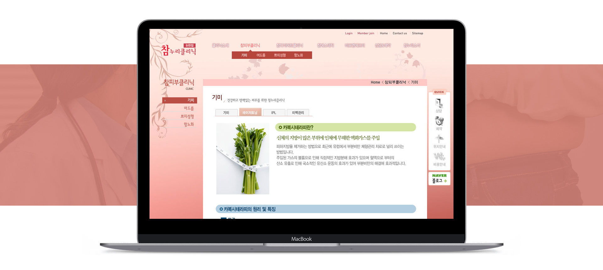 참누리한의원비만클리닉 웹사이트제작