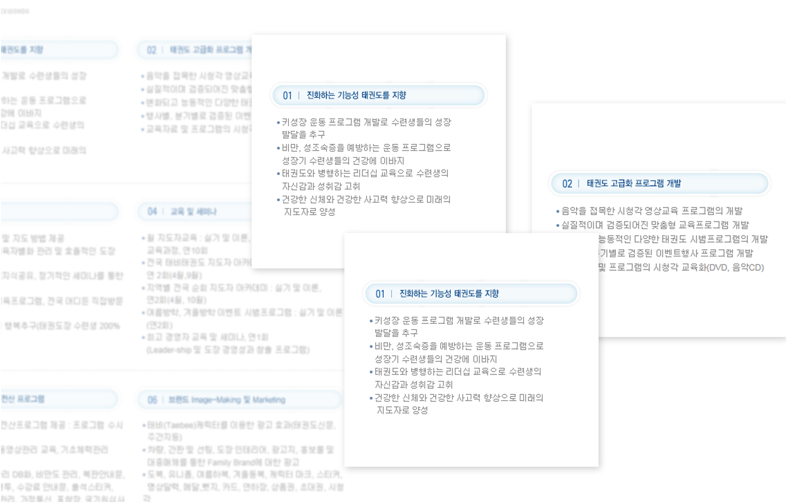 con02.jpg 태비태권도 본부 웹사이트제작