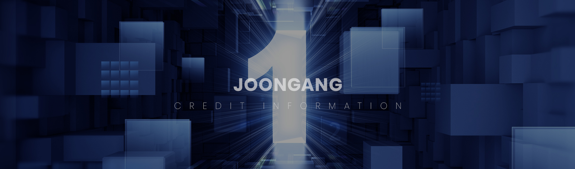 주식회사 중앙신용정보 홈페이지제작