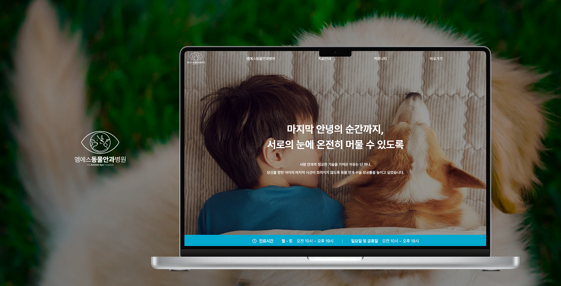 엠에스동물안과 메인 화면 기획 및 신뢰 중심 랜딩 페이지 반응형 디자인
