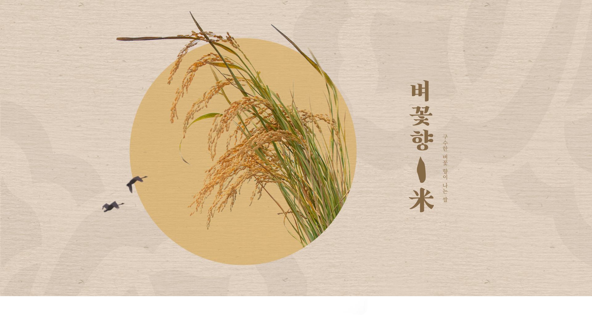 노블젠 랜딩페이지제작