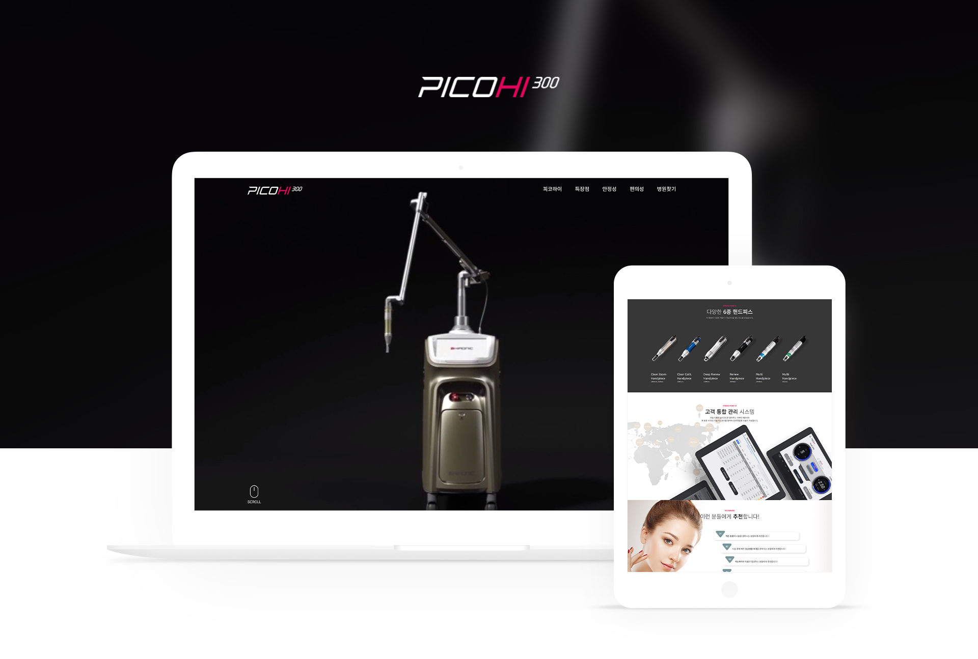 하이로닉코리아 피코하이 랜딩페이지제작