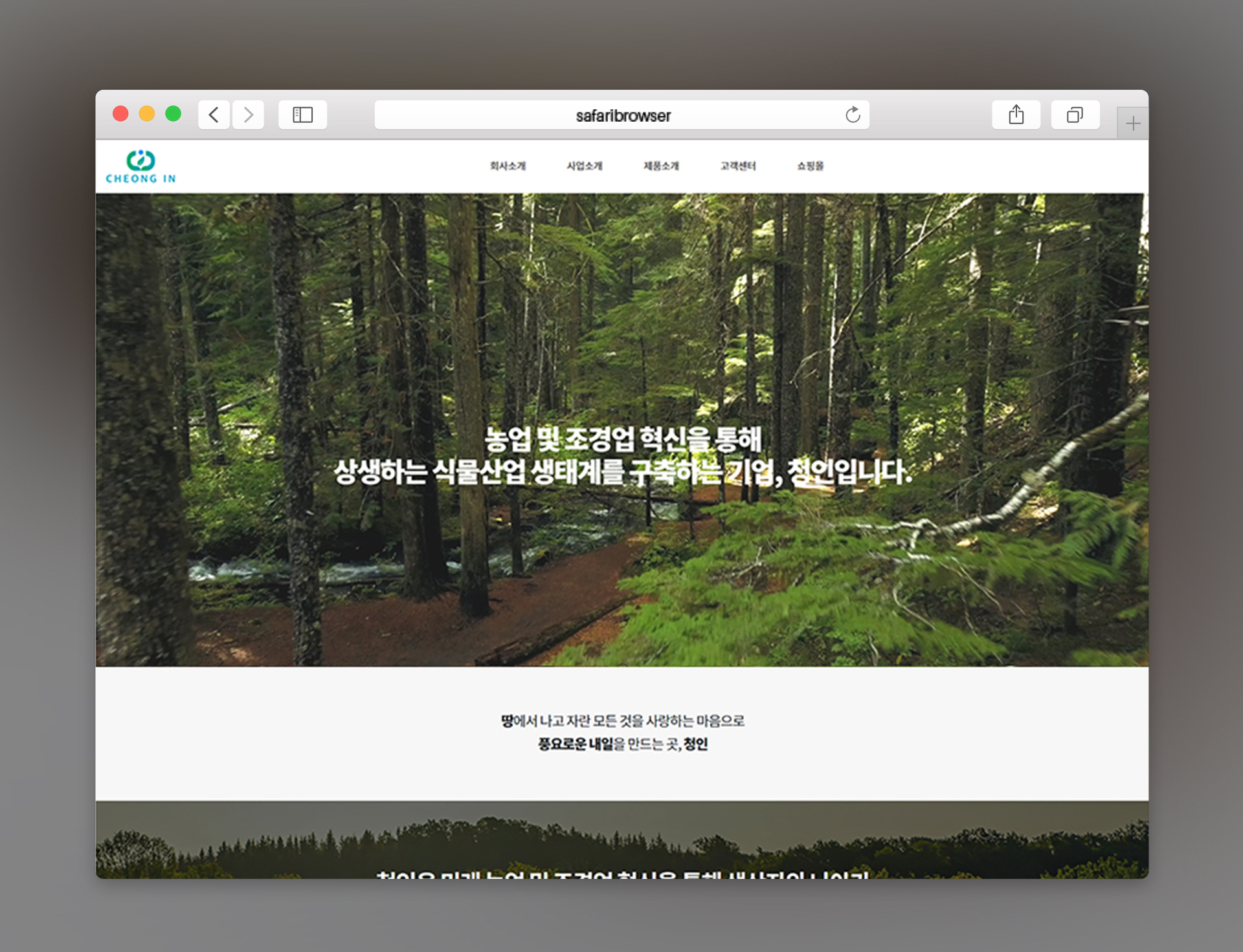 청인 홈페이지제작