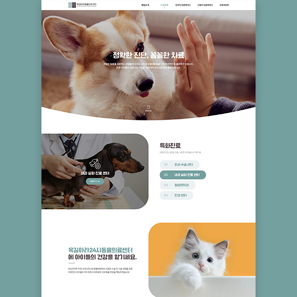 옥길아라동물의료센터 홈페이지제작