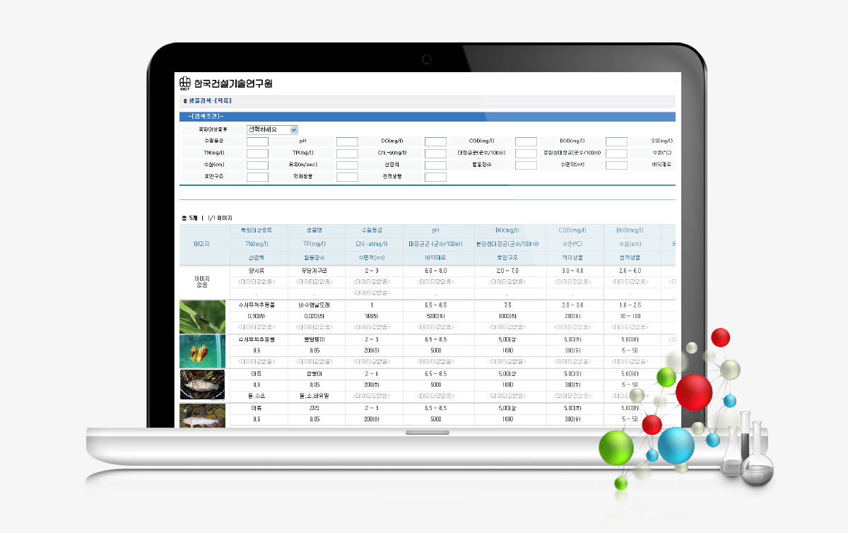 한국건설기술연구원 프로그램개발