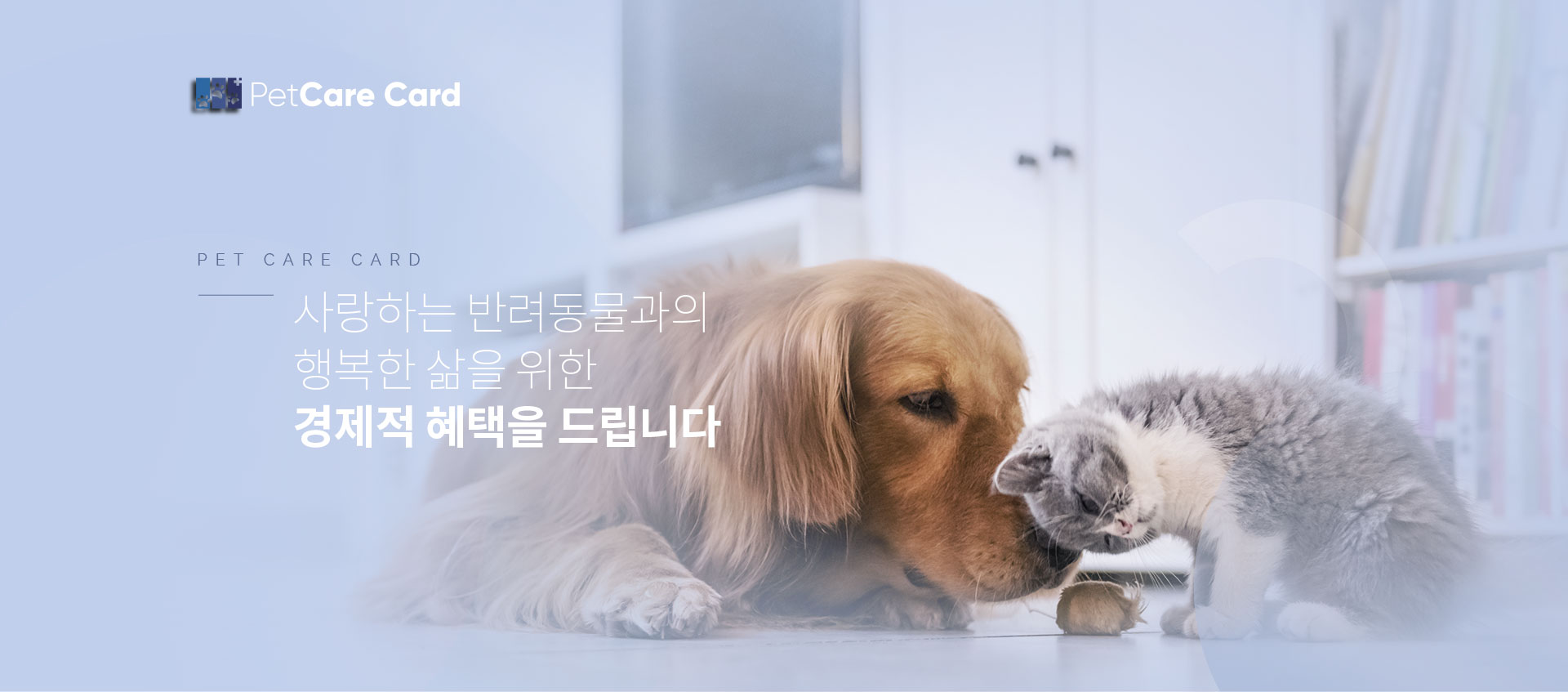 펫케어카드 홈페이지제작
