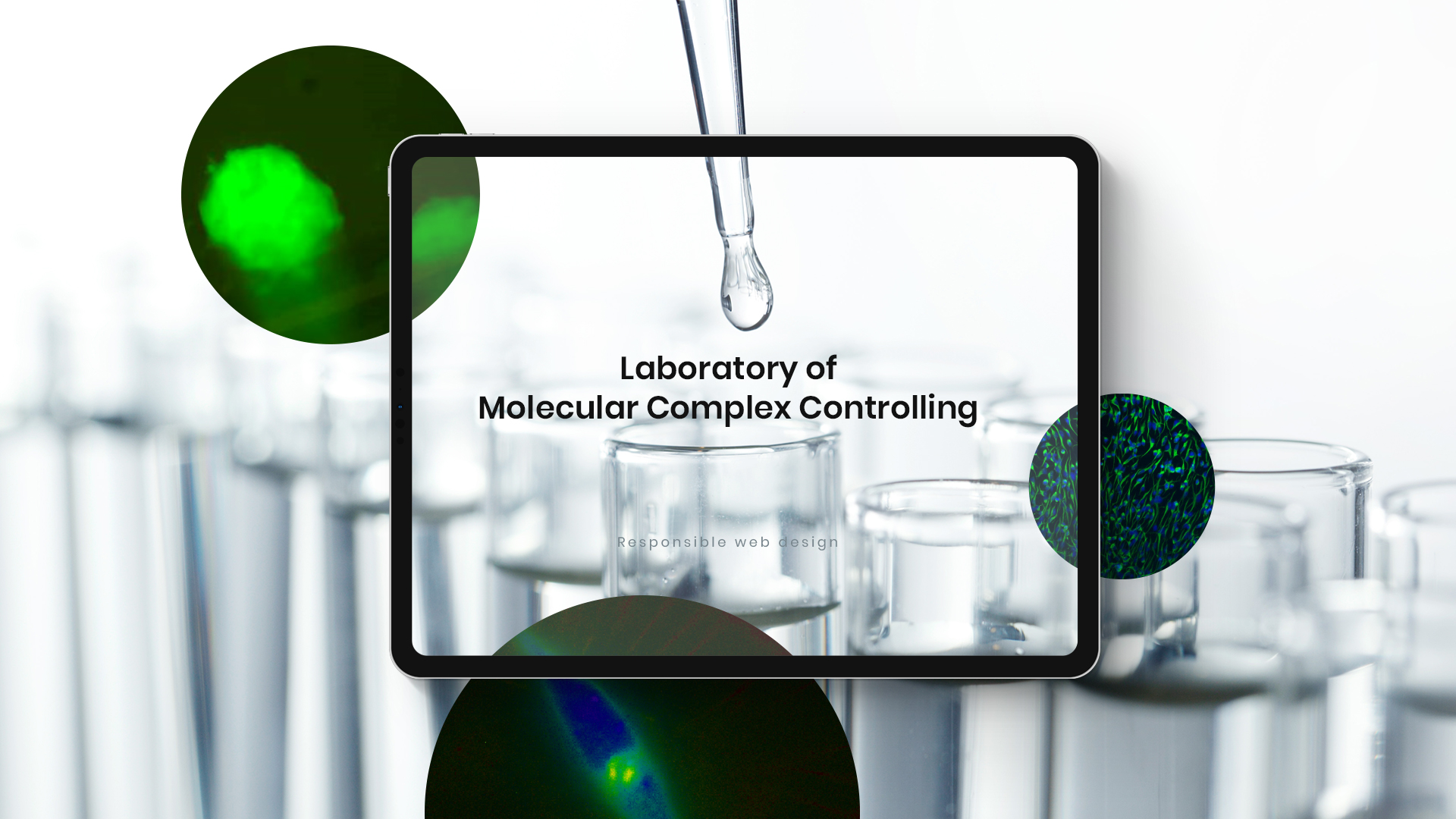 연세대학교최강열연구실 홈페이지제작