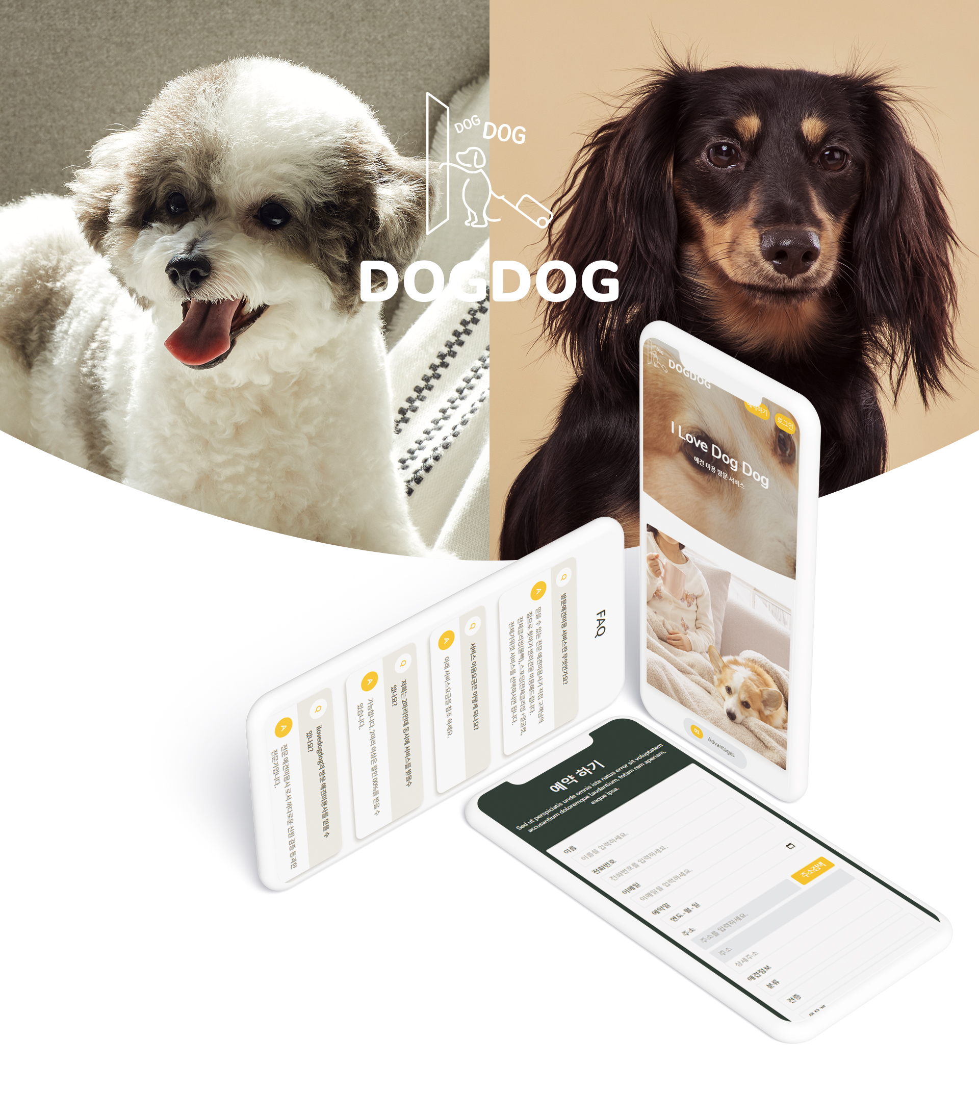 엔디에스펫 홈페이지제작