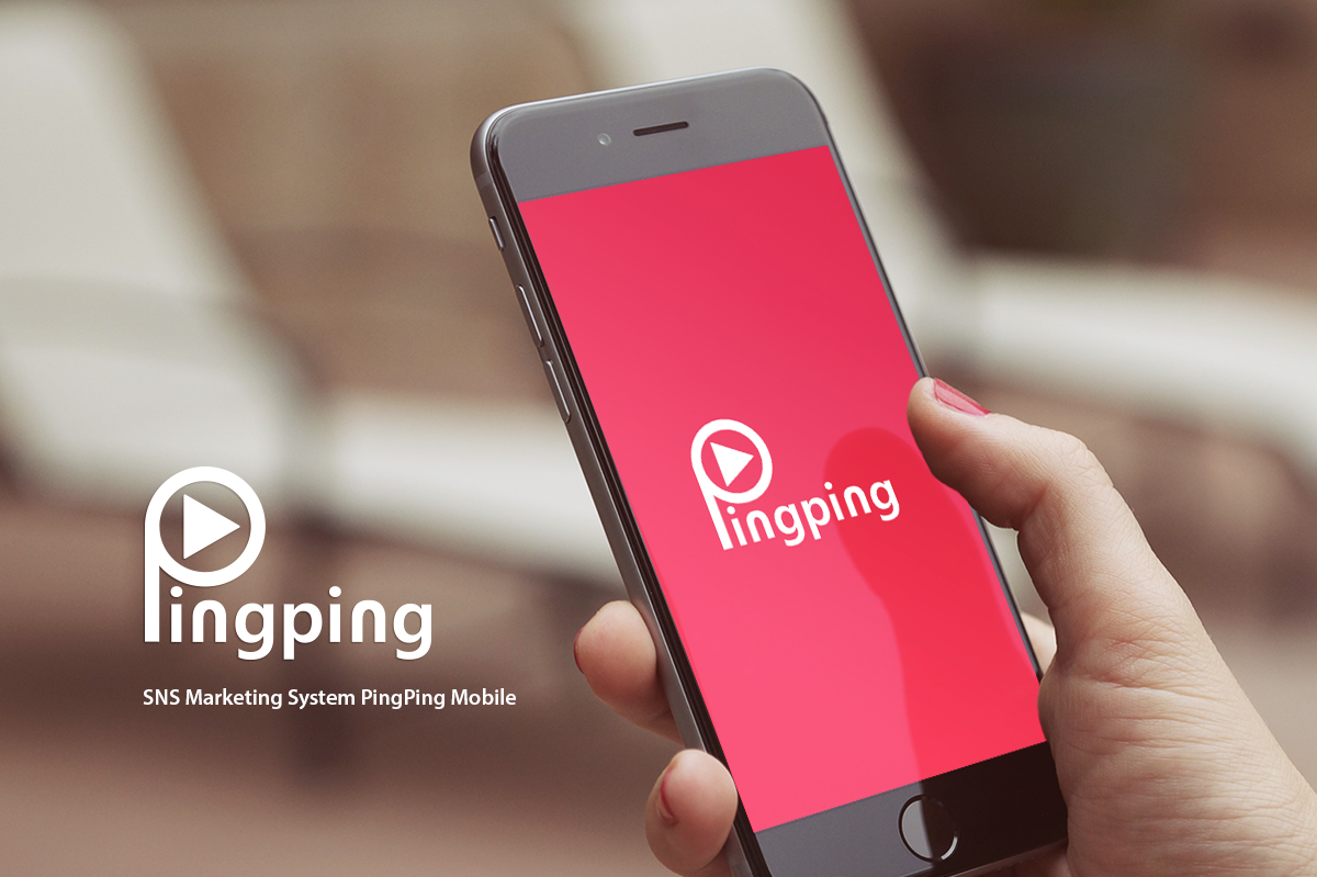 핑핑 프로그램개발