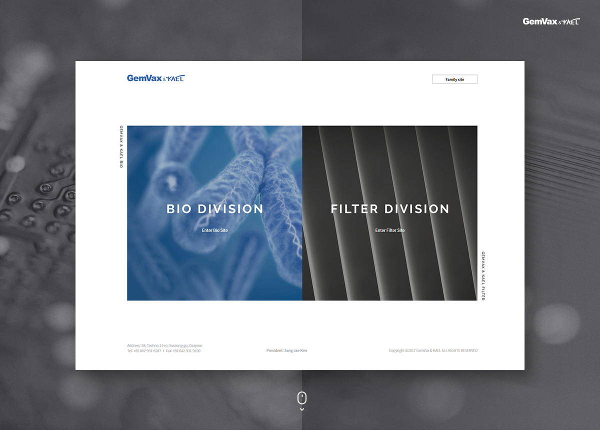 젬백스앤카엘_ 필터 홈페이지제작