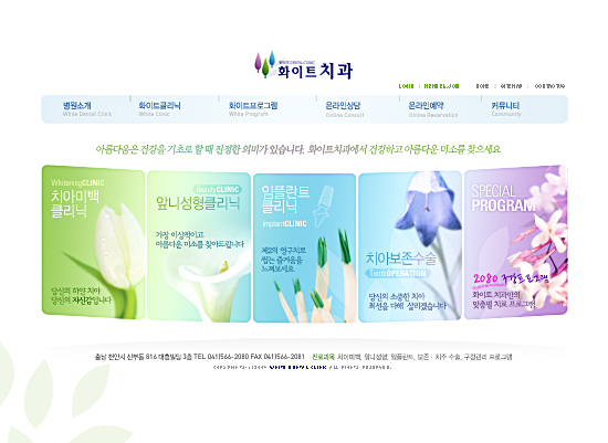 화이트치과 웹사이트 개발 프로젝트 포트폴리오 이미지
