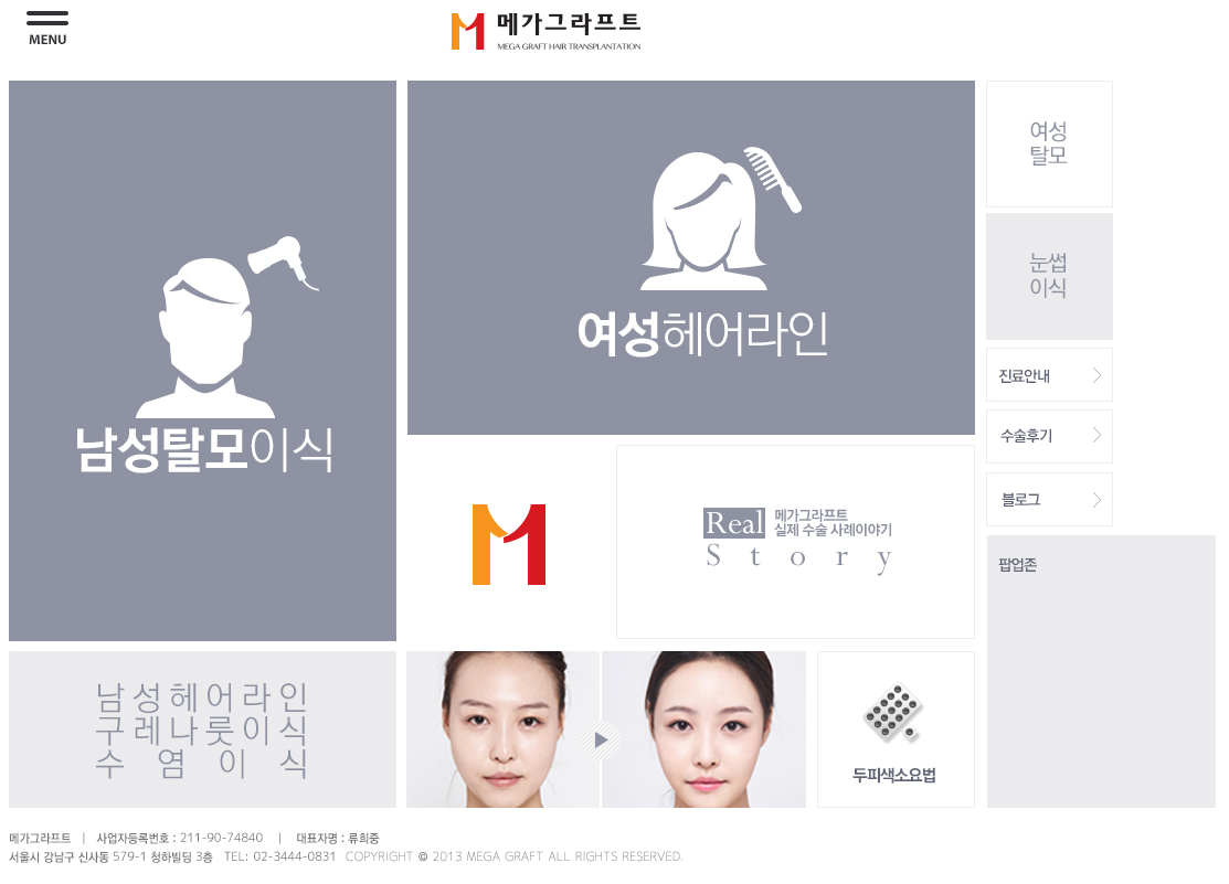 메가그라프트.PNG